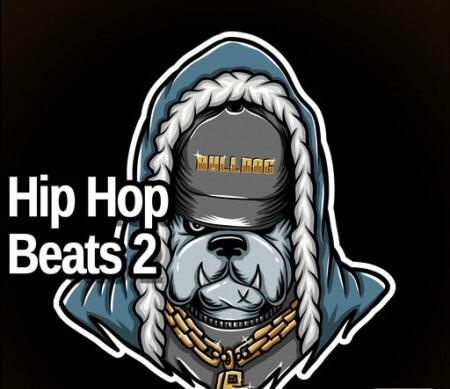 AudioFriend Hip Hop Beats 2 WAV